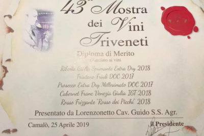 mostra dei vini triveneti 2019 00